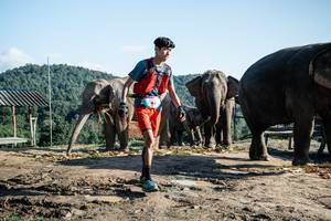 BIB: 
                            <button type="button" onclick="openModal(22423631)" class="btn btn-primary btn-sm float-right btn-popup" data-toggle="modal" data-target=".modal-high-quality">
                        <i class="fas fa-shopping-cart"></i> Add to Cart
                    </button>
                                            <button type="button" onclick="isThisMe(22423631, true)" class="btn btn-success btn-sm float-right btn-popup btn-isme hidden" data-toggle="tooltip" data-placement="bottom" title="นี่คือรูปของคุณใช่ไหม คลิกที่นี่เพื่อเอาเข้าอัลบั้ม">
                        <i class="fas fa-plus"></i> Add to album
                    </button>
                    <button type="button" onclick="isThisMe(22423631, false)" class="btn btn-warning btn-sm float-right btn-popup btn-isnotme hidden">
                        <i class="fas fa-ban"></i> Remove from album
                    </button>